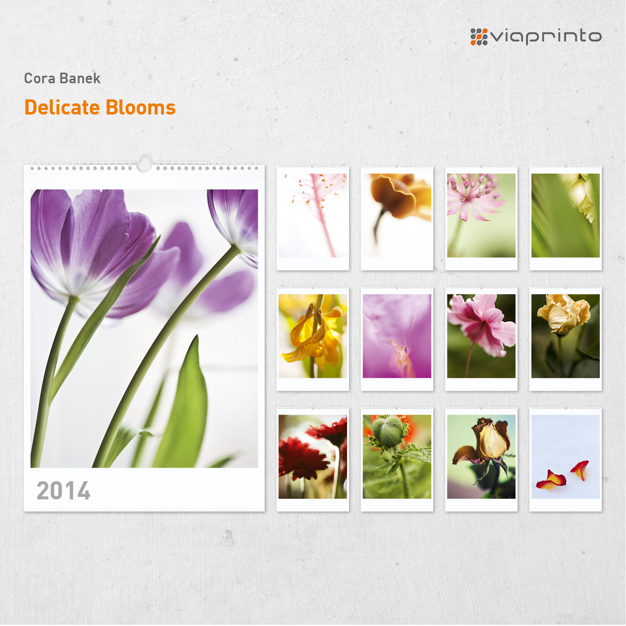 Cora Banek Motivkalender "Delicate Blooms"