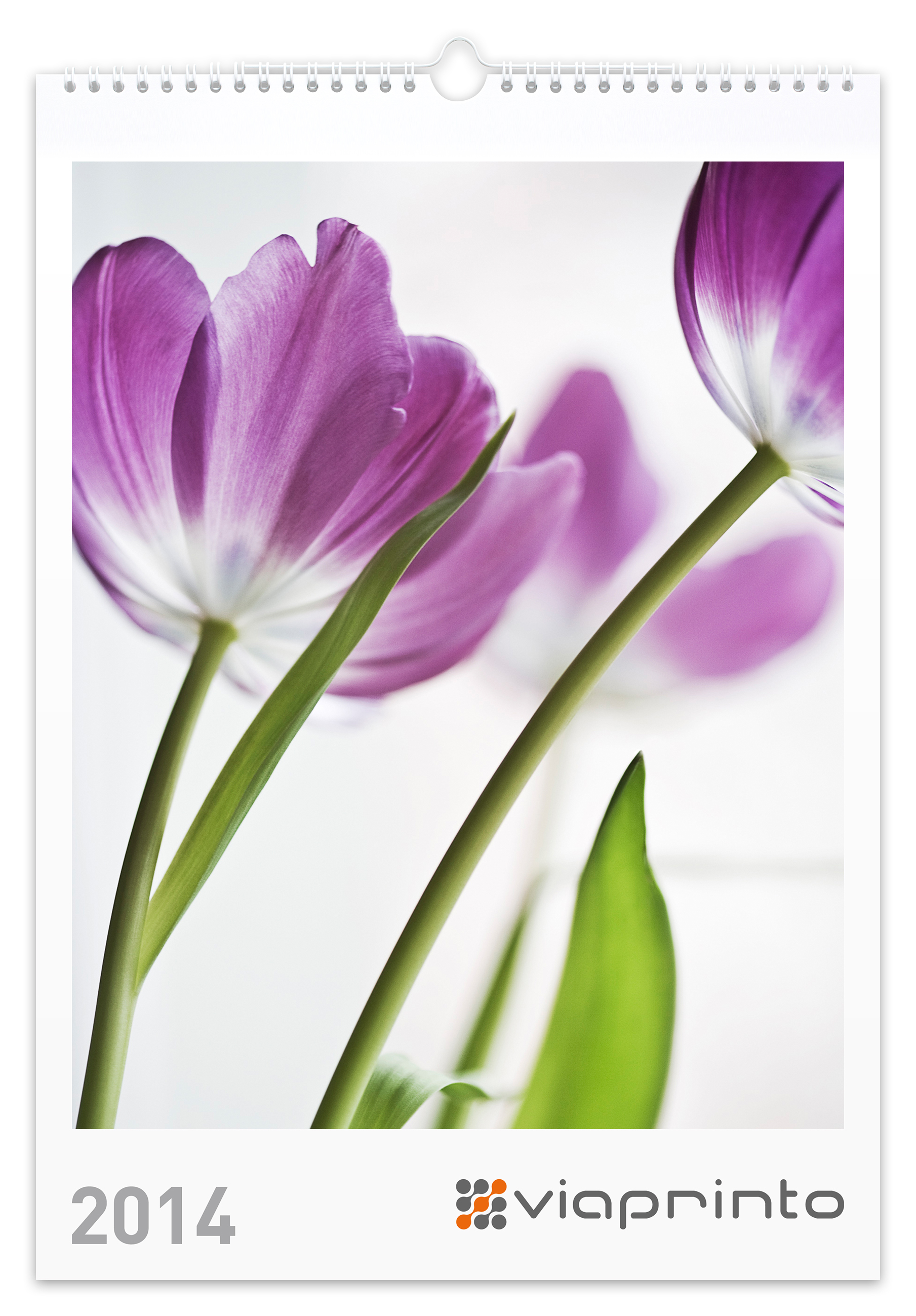 Cora Banek Motivkalender "Delicate Blooms"