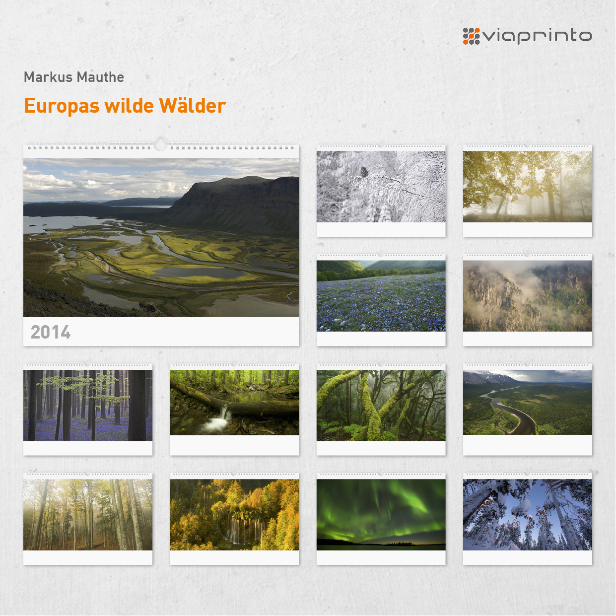 Markus Mauthe - Motivkalender "Europas wilde Wälder"