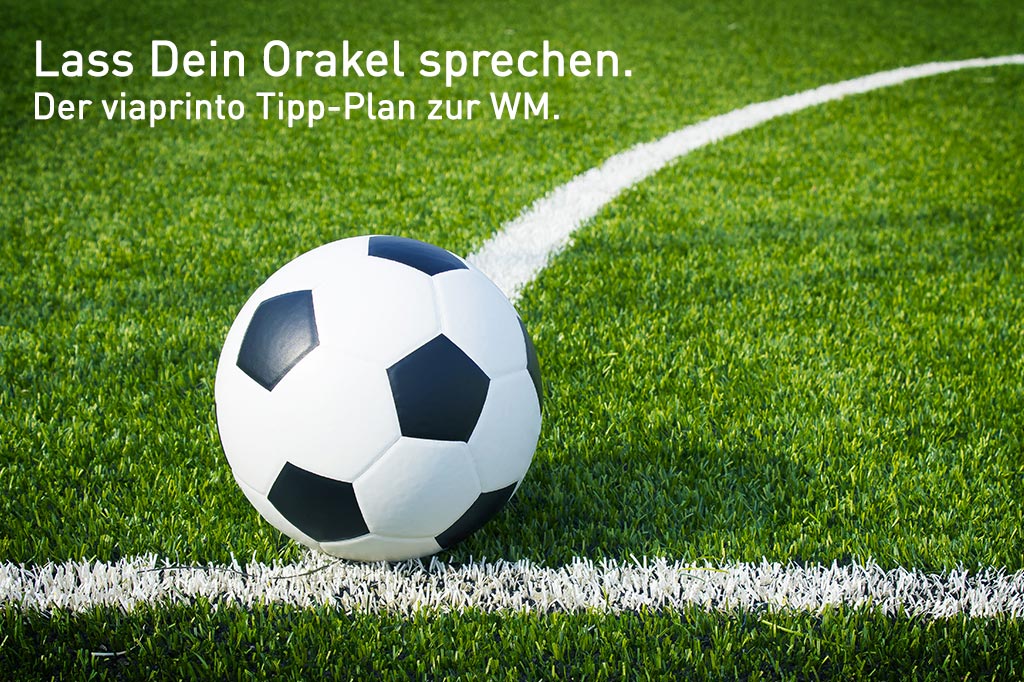 Wer wird Fußball Weltmeister?