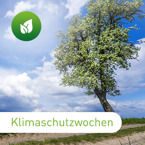 Zu sehen ist ein Baum mit grünen Blättern vor Wolkenhimmel mit dem Schriftzug Klimaschutzwochen.