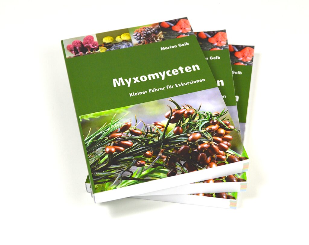 Stapel drei gleicher Bücher mit Titel Myxomyceten