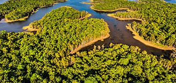 Climatepartner Projekt Papua Neuguinea