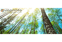 viaprinto Whitepaper