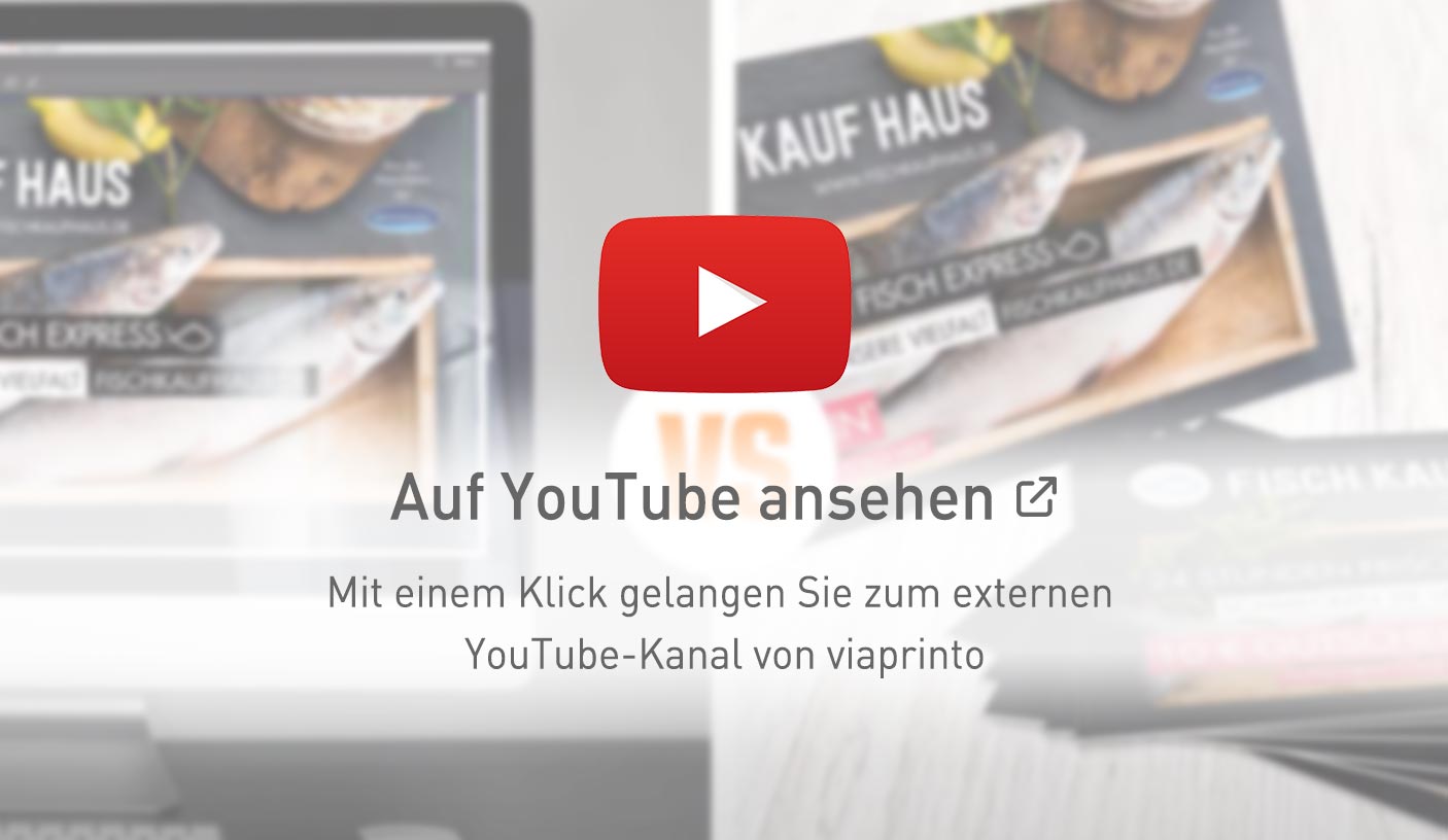 viaprinto Tutorial Profi-Datencheck bei fehlerhaften Dokumenten