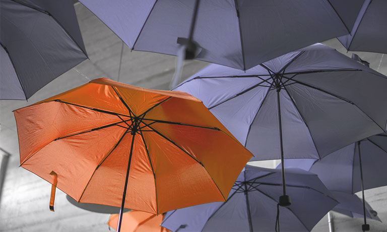 Regenschirme